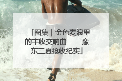 图集｜金色麦浪里的丰收交响曲——豫东三夏抢收纪实