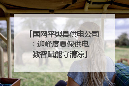 国网平舆县供电公司：迎峰度夏保供电  数智赋能守清凉