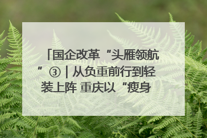 国企改革“头雁领航”③｜从负重前行到轻装上阵 重庆以“瘦身”谋“健体”