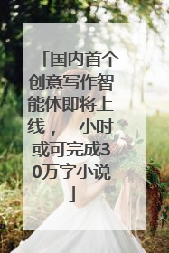 国内首个创意写作智能体即将上线，一小时或可完成30万字小说