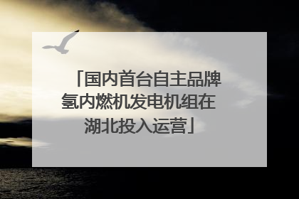 国内首台自主品牌氢内燃机发电机组在湖北投入运营