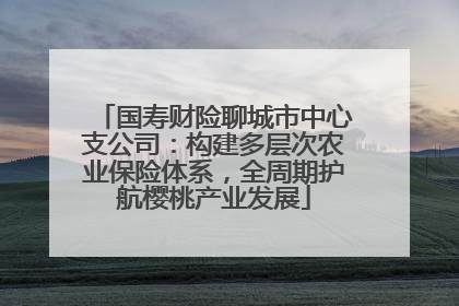 国寿财险聊城市中心支公司：构建多层次农业保险体系，全周期护航樱桃产业发展