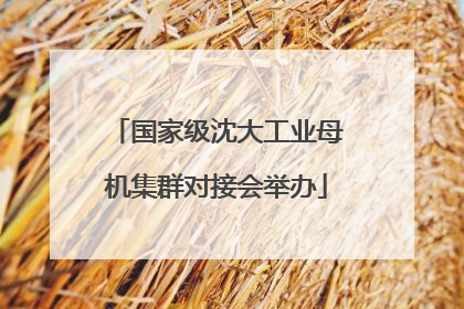 国家级沈大工业母机集群对接会举办