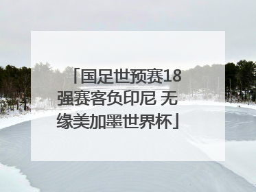 国足世预赛18强赛客负印尼 无缘美加墨世界杯