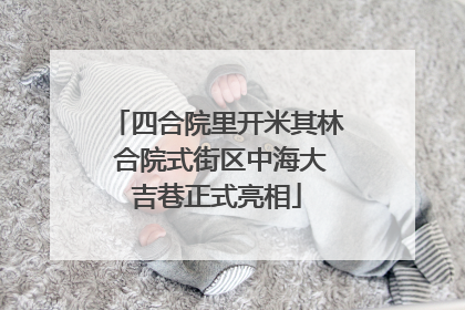 四合院里开米其林 合院式街区中海大吉巷正式亮相