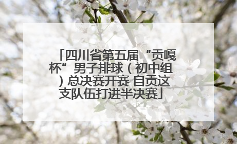 四川省第五届“贡嘎杯”男子排球（初中组）总决赛开赛 自贡这支队伍打进半决赛