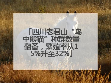 四川老君山“鸟中熊猫”种群数量翻番，繁殖率从15%升至32%