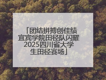 团结拼搏创佳绩 宜宾学院田径队闪耀2025四川省大学生田径赛场