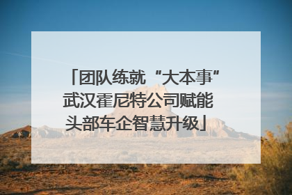 团队练就“大本事” 武汉霍尼特公司赋能头部车企智慧升级