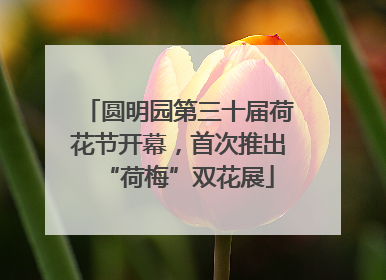 圆明园第三十届荷花节开幕，首次推出“荷梅”双花展