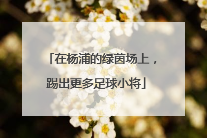 在杨浦的绿茵场上，踢出更多足球小将