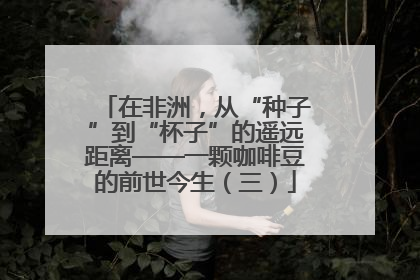 在非洲，从“种子”到“杯子”的遥远距离——一颗咖啡豆的前世今生（三）