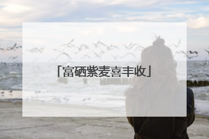 富硒紫麦喜丰收