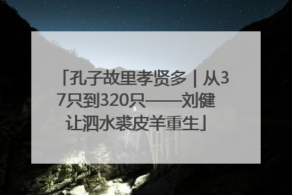 孔子故里孝贤多｜从37只到320只——刘健让泗水裘皮羊重生