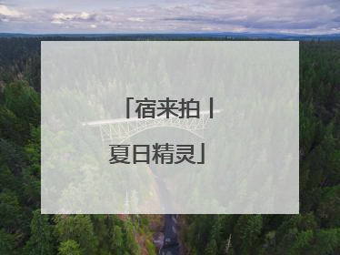 宿来拍丨夏日精灵