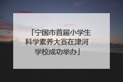 宁国市首届小学生科学素养大赛在津河学校成功举办