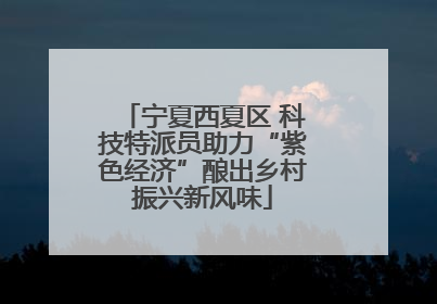 宁夏西夏区 科技特派员助力“紫色经济”酿出乡村振兴新风味