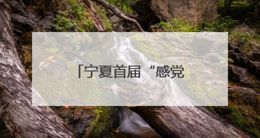 宁夏首届“感党恩·国家奖学金学子亲身说”资助育人演讲比赛落幕