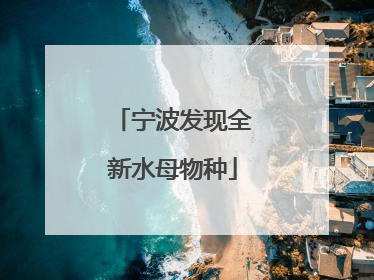 宁波发现全新水母物种