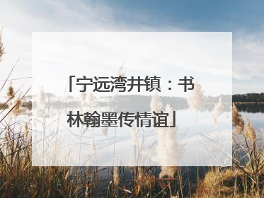 宁远湾井镇：书林翰墨传情谊