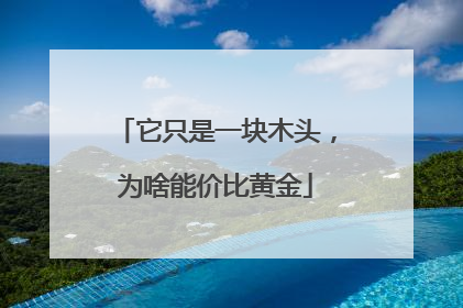 它只是一块木头，为啥能价比黄金