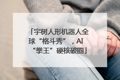 宇树人形机器人全球“格斗秀”，AI“拳王”硬核破圈
