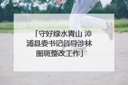 守好绿水青山 漳浦县委书记督导涉林图斑整改工作