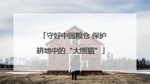 守好中国粮仓 保护耕地中的“大熊猫”