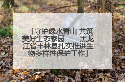 守护绿水青山 共筑美好生态家园——黑龙江省丰林县扎实推进生物多样性保护工作