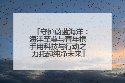 守护蔚蓝海洋：海洋至尊与青年携手用科技与行动之力托起纯净未来