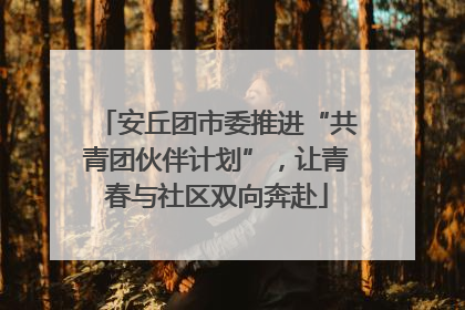 安丘团市委推进“共青团伙伴计划”，让青春与社区双向奔赴