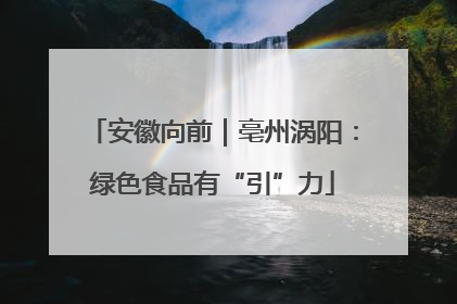 安徽向前｜亳州涡阳：绿色食品有“引”力