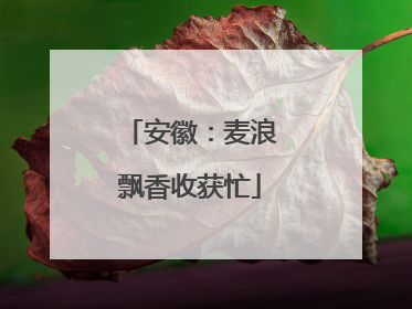 安徽：麦浪飘香收获忙