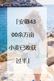 安徽4300余万亩小麦已收获过半