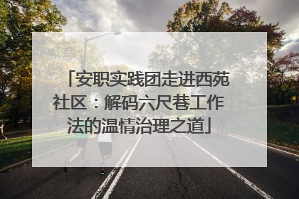 安职实践团走进西苑社区：解码六尺巷工作法的温情治理之道