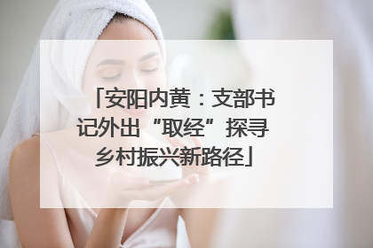 安阳内黄：支部书记外出“取经”探寻乡村振兴新路径