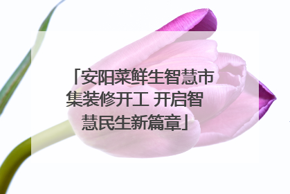 安阳菜鲜生智慧市集装修开工 开启智慧民生新篇章