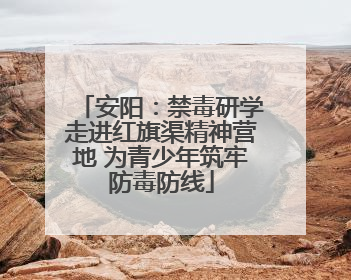 安阳：禁毒研学走进红旗渠精神营地 为青少年筑牢防毒防线