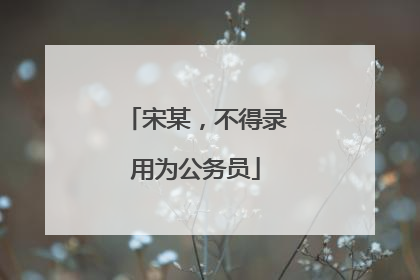 宋某，不得录用为公务员