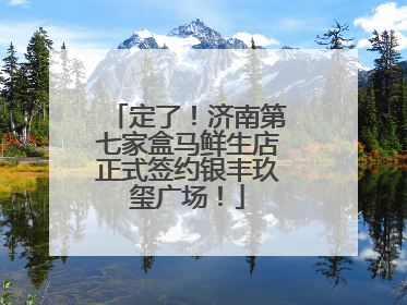 定了！济南第七家盒马鲜生店正式签约银丰玖玺广场！