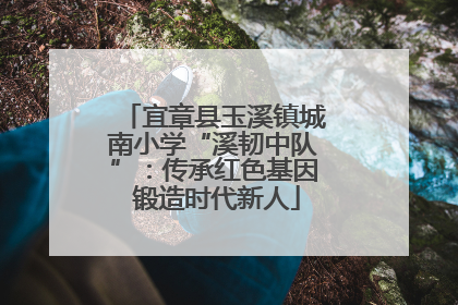 宜章县玉溪镇城南小学“溪韧中队”：传承红色基因 锻造时代新人