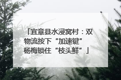 宜章县水浸窝村：双物流按下“加速键” 杨梅锁住“枝头鲜”