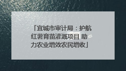 宜城市审计局：护航红薯育苗灌溉项目 助力农业增效农民增收