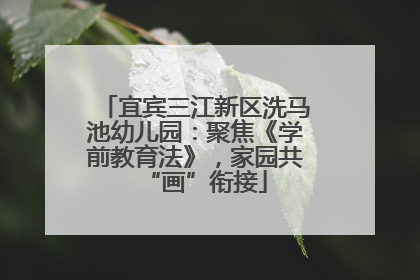 宜宾三江新区洗马池幼儿园：聚焦《学前教育法》，家园共“画”衔接