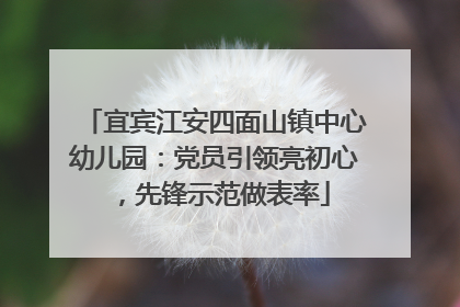 宜宾江安四面山镇中心幼儿园：党员引领亮初心，先锋示范做表率