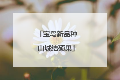 宝岛新品种 山城结硕果