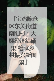 宝鸡陈仓区东关街道南阳村：大棚经济结硕果 绘就乡村振兴新图景
