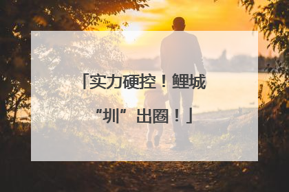 实力硬控！鲤城“圳”出圈！