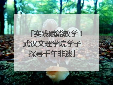 实践赋能教学！武汉文理学院学子探寻千年非遗