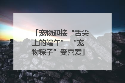 宠物迎接“舌尖上的端午” “宠物粽子”受喜爱